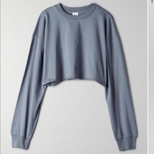 Aritzia Tna Tour Longsleeve Tee Shirt NWT